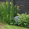 Waterurn groen gepatineerd